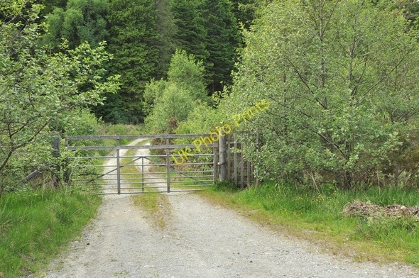 Photo 6"x4" Gated forestry road near North Shian North Shian c2010