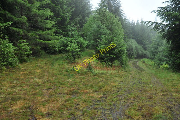 Photo 6"x4" Overgrown forest tracks in Glen Duror Achadh nan Darach c2010