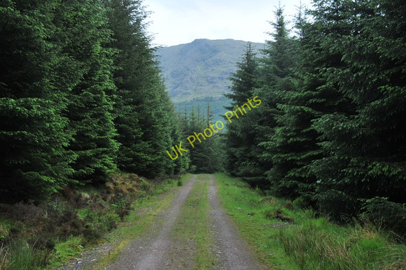 Photo 6"x4" Forestry road in Glen Duror Achadh nan Darach c2010