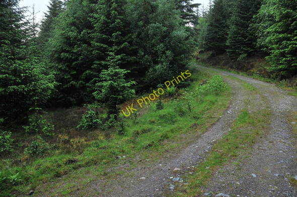 Photo 6"x4" Junction of the tracks in Glen Duror Achadh nan Darach c2010