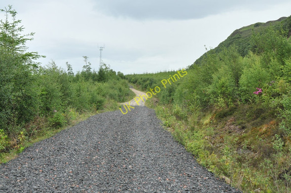 Photo 6"x4" Forest road into Lurignich Plantation Portnacroish c2010