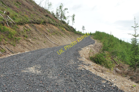 Photo 6"x4" Forest road in Lurignich Plantation Portnacroish c2010