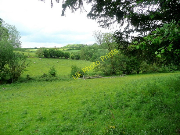 Photo 6"x4" Herefordshire pastoral scene Broad Oak\/SO4821 c2010