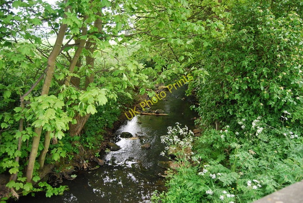Photo 6"x4" Burniston Beck from Cow Wath Bridge Scarborough\/TA0388 c2010