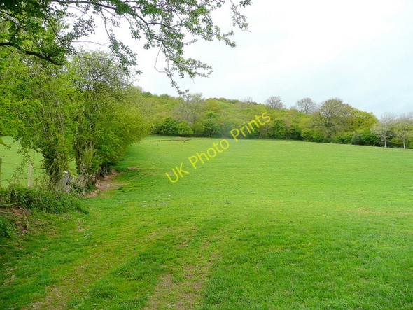 Photo 6"x4" Brynspeard Wood Westbrook\/SO2843 c2010