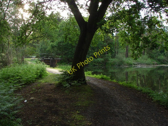 Photo 6"x4" Basingstoke Canal Pirbright Camp c2010