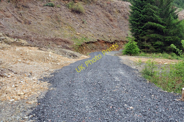 Photo 6"x4" Forest road in Lurignich Plantation Portnacroish c2010