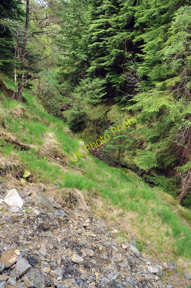 Photo 6"x4" Stream flowing through Coire na Luing Portnacroish c2010