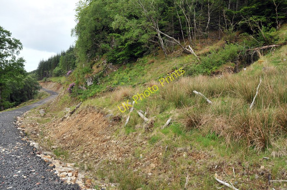 Photo 6"x4" Forest road in Lurignich Plantation Portnacroish c2010