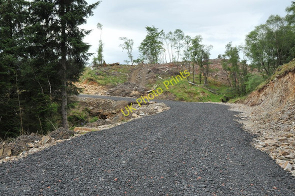 Photo 6"x4" Forest road in Lurignich Plantation Portnacroish c2010