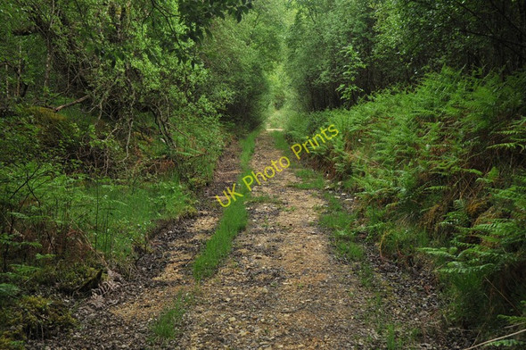 Photo 6"x4" Old quarry access track near Duror Duror c2010
