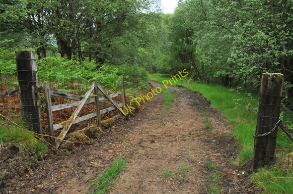 Photo 6"x4" Gate on the woodland track near Duror Duror c2010