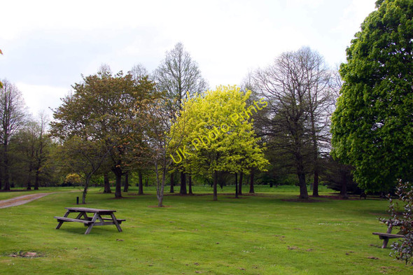 Photo 6"x4" Picnic area at the arboretum Romsey c2010