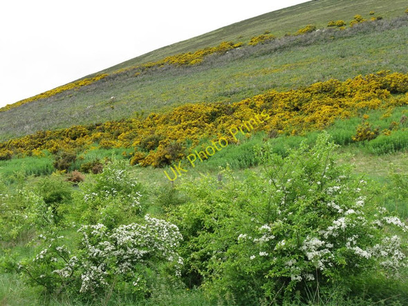 Photo 6"x4" Goseland Hill Mitchell Hill\/NT0633 c2010