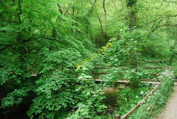 Photo 6"x4" Footbridge over the Derwent, Forge Valley East Ayton c2010