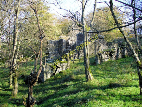 Photo 6"x4" The Ruins of Bentley House Pickup Bank c2007