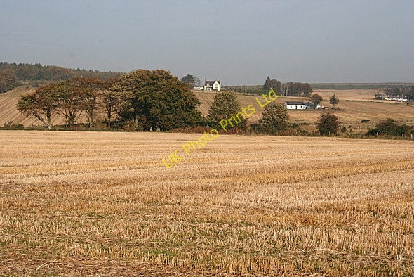 Photo 6"x4" Mains of Blackton King Edward c2007
