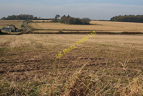 Photo 6"x4" Brae of Blackton Keilhill c2007