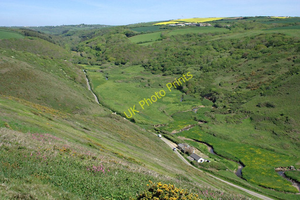 Photo 6"x4" Coombe Valley Coombe\/SS2011 c2010
