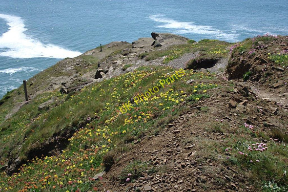 Photo 6"x4" Steeple Point Coombe\/SS2011 c2010