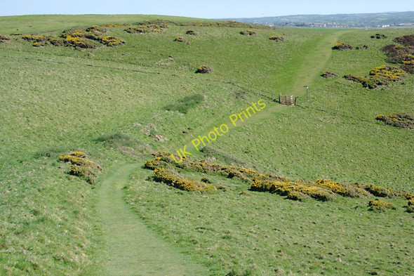 Photo 6"x4" The Coast Path above Stowe Cliff Coombe\/SS2011 c2010