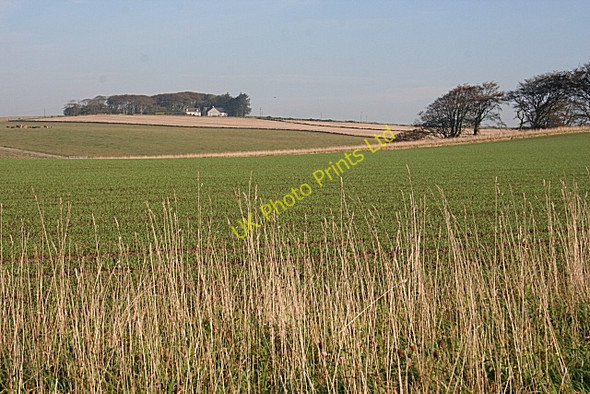 Photo 6"x4" Law of Balgreen from near Gorrachie Keilhill c2007