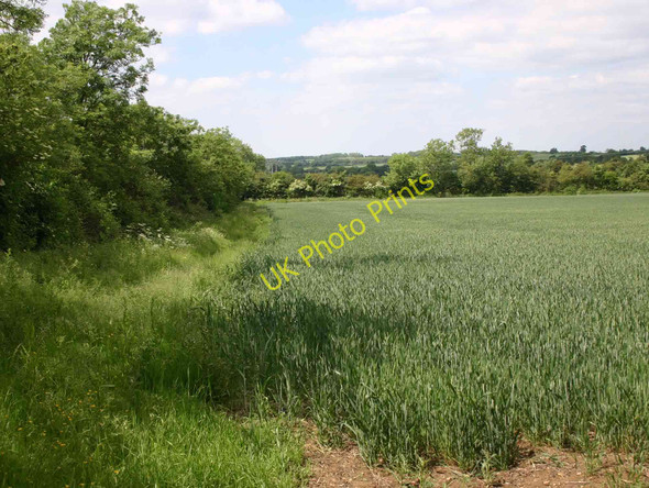 Photo 6"x4" Footpath to Drayton from Shottery Drayton\/SP1655 c2010