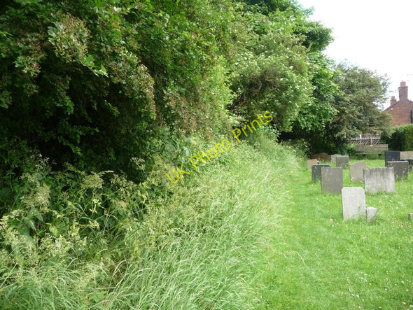 Photo 6"x4" Churchyard hedgerow Micklefield\/SE4433 c2010