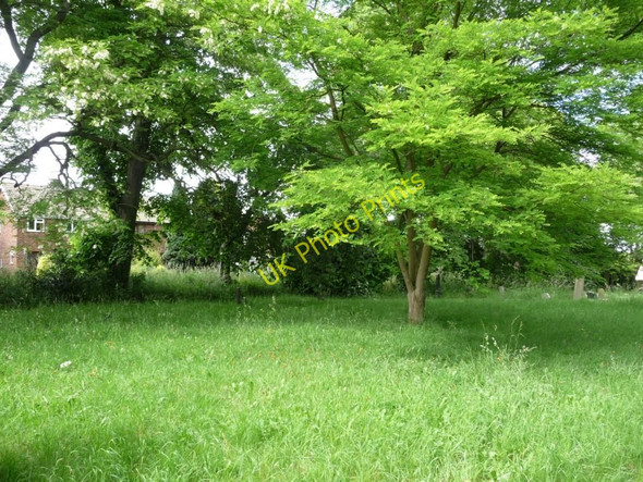 Photo 6"x4" Grassy area in the churchyard Micklefield\/SE4433 c2010