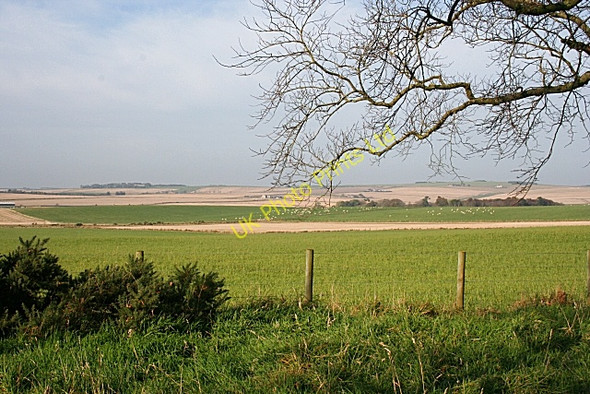 Photo 6"x4" Fields at Law of Balgreen Keilhill c2007