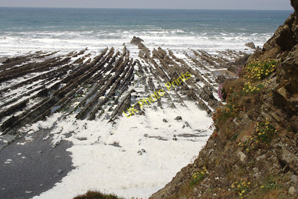 Photo 6"x4" Anticline at Welcome Mouth Welcombe\/SS2218 c2010