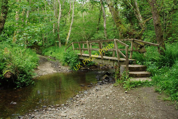 Photo 6"x4" Ford in Marsland Wood Mead\/SS2217 c2010