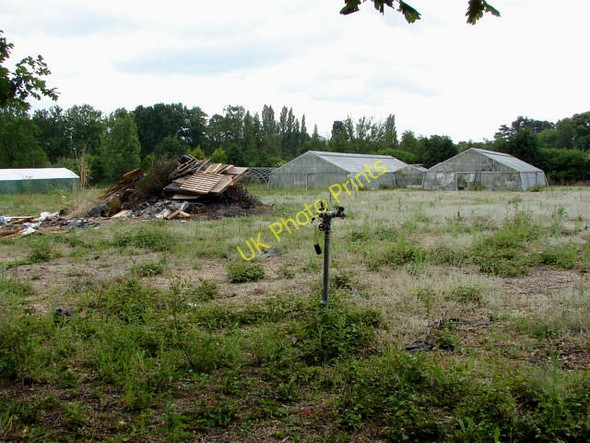 Photo 6"x4" Wyevale Nursery, Chobham Brook Place\/SU9561 c2010