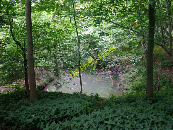 Photo 6"x4" Tach Brook, Warwick Castle Park Warwick c2010