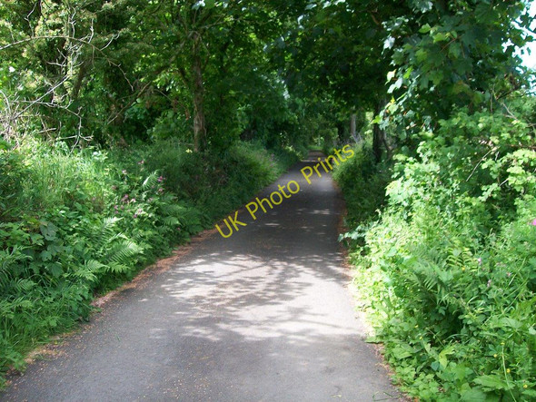 Photo 6"x4" Driveway from Cefn-y-maen Criccieth c2010
