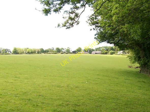 Photo 6"x4" View SSW across pasture land towards the buildings at Gwynfryn Farm Llanystumdwy c2010