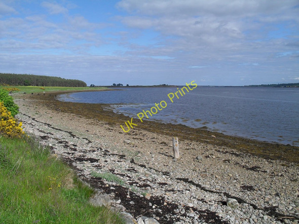 Photo 6"x4" Shingle beach at Newton Point Ardmore\/NH7086 c2010