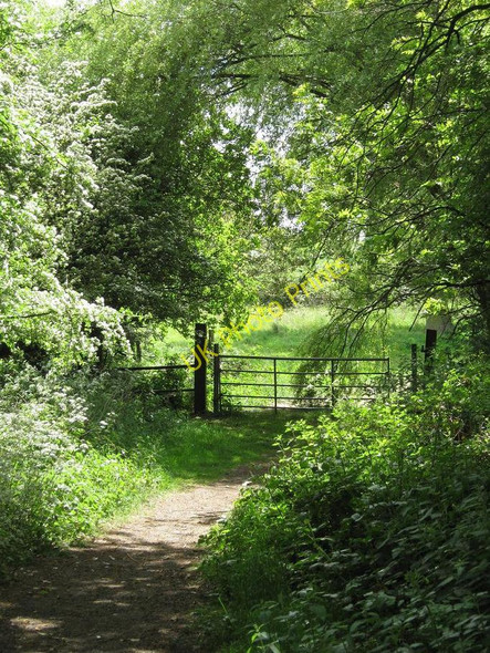 Photo 6"x4" Footpath and stile, Maypole Solihull Lodge c2010