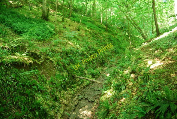 Photo 6"x4" Dry stream bed, Dyke Wood Croft c2010
