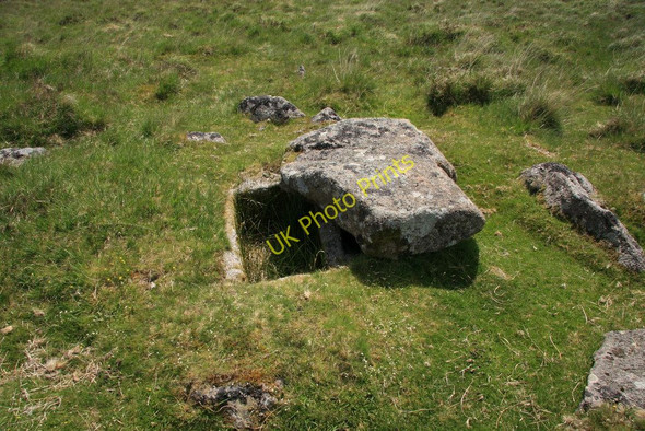 Photo 6"x4" Ringmoor Down cist Lovaton\/SX5466 c2010