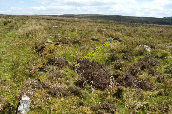 Photo 6"x4" Remains of a longhouse Bonhill c2010