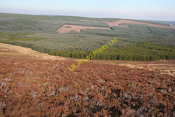 Photo 6"x4" Above the Burn of Rothes Archiestown c2007