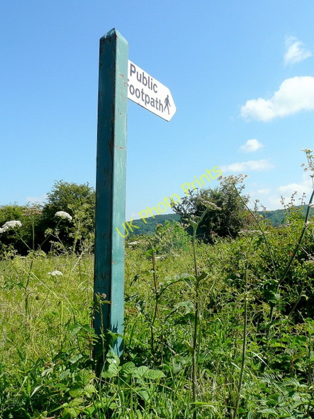 Photo 6"x4" Footpath to Holme Lacy church Fiddler's Green\/SO5735 c2010