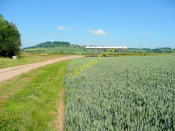 Photo 6"x4" Cereal land near Dinedor Hill 3 Dinedor c2010