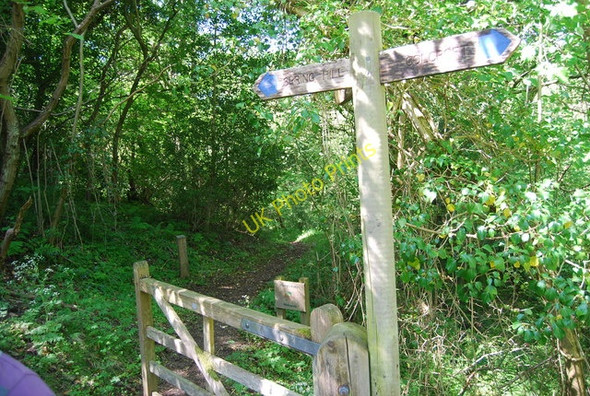 Photo 6"x4" Bridleway outside Harry's Folly Fylingthorpe c2010