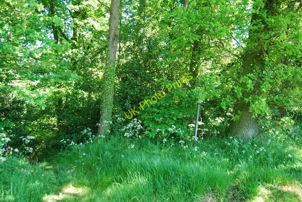 Photo 6"x4" Footpath off Bridge Holm Lane Fylingthorpe c2010