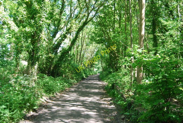 Photo 6"x4" Old railway heading north Fylingthorpe c2010
