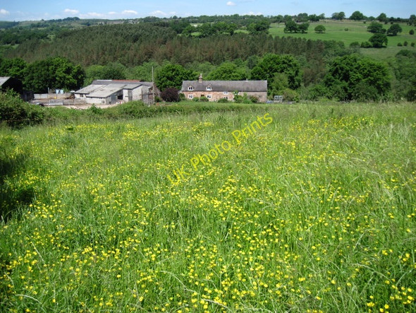 Photo 6"x4" Towards Dydon Middle Mayfield c2010