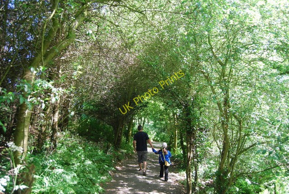 Photo 6"x4" Footpath to the beach, Marnar Dale Fylingthorpe c2010