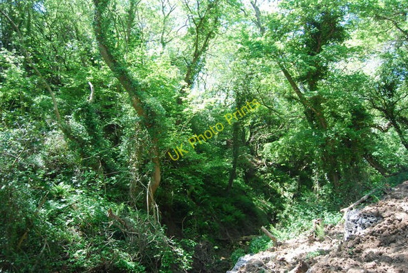 Photo 6"x4" Marnar Dale Beck Fylingthorpe c2010